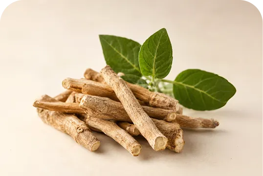 Ashwagandha